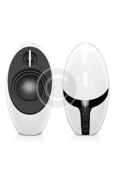 E1100 Predator Speakers